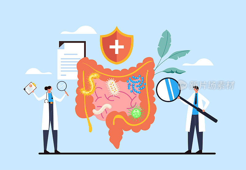 Intestines diagnosis microflora disease research. Health care concept. Vector flat graphic design illustration